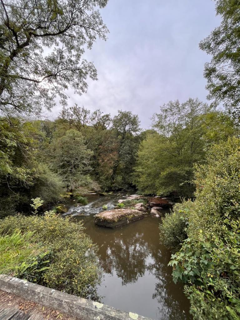 Les Pieds Dans L'eau 10 Min Du Puy Du Fo